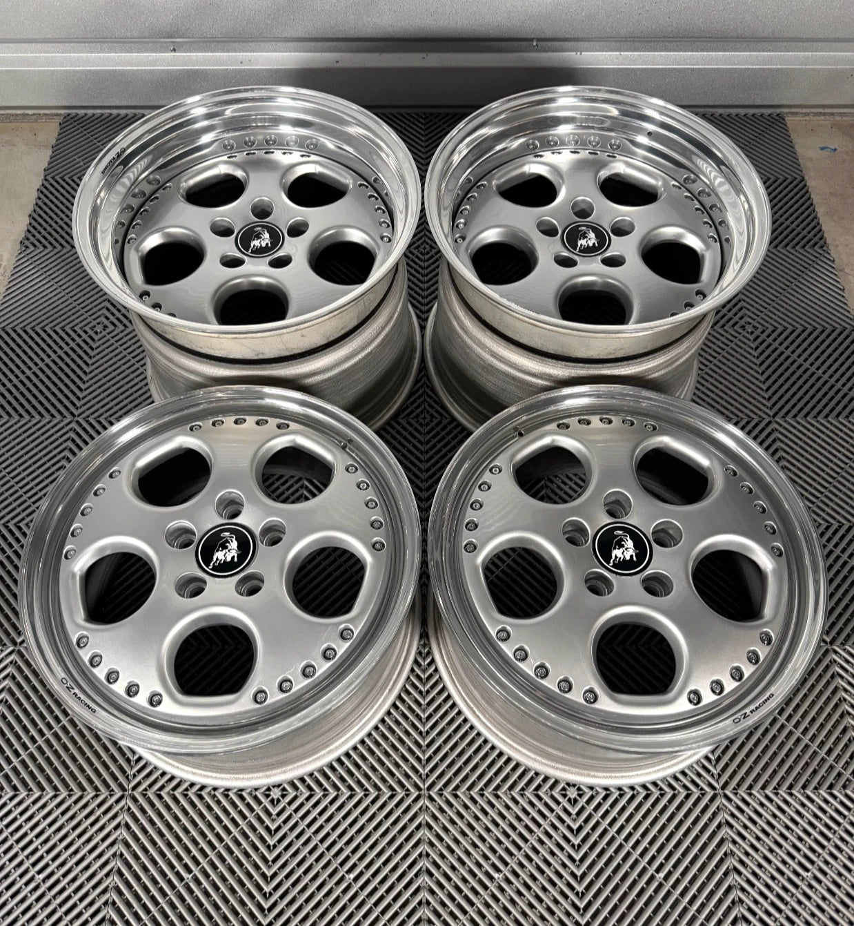 羊　ダービーシティーラム Genuine 18